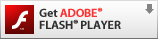 Flash-Player Download